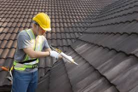 Best Asphalt Shingle Roofing  in Dulce, NM